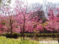云南建筑技工學校2020年報名條件、招生對象