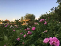 定邊職業(yè)教育中心網(wǎng)站網(wǎng)址