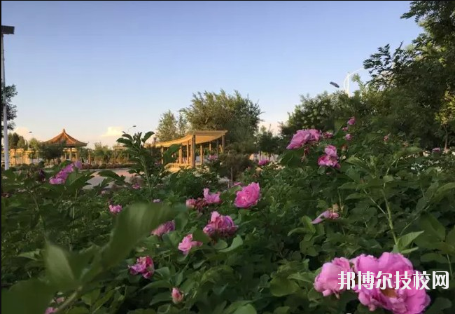 定邊職業(yè)教育中心網(wǎng)站網(wǎng)址