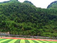 遵義紅花崗經(jīng)濟(jì)職業(yè)技術(shù)學(xué)校2020年招生錄取分?jǐn)?shù)線