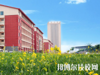 甘肅省醫(yī)藥學校2020年招生辦聯(lián)系電話