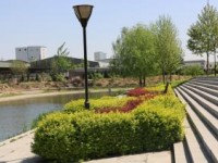 石家莊聯(lián)華職業(yè)中專學(xué)校2020年有哪些專業(yè)