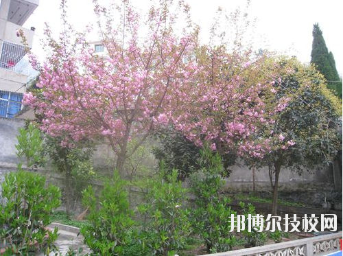嵐皋縣中等職業(yè)技術(shù)學(xué)校2020年報名條件、招生要求、招生對象