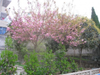 嵐皋縣中等職業(yè)技術(shù)學(xué)校怎么樣、好不好