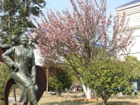 岳陽職業(yè)技術(shù)學(xué)院2023年有哪些專業(yè)
