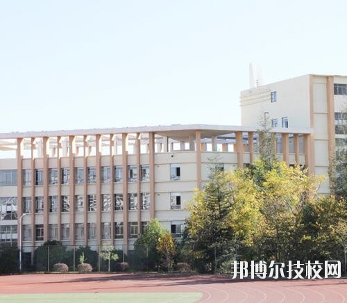 師范網3