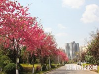 曲靖應(yīng)用技術(shù)學(xué)校網(wǎng)站網(wǎng)址