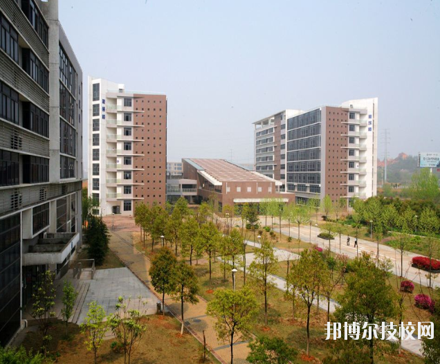 武漢儀表電子學(xué)校5