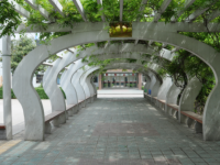 安徽淮北衛(wèi)生學(xué)校2020年招生簡(jiǎn)章