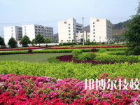 懷化職業(yè)技術(shù)學(xué)院2023年報名條件、招生要求、招生對象