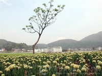樂清市雁蕩山旅游學(xué)校2020年有哪些專業(yè)