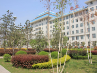 渭南工業(yè)學校2020年招生錄取分數線