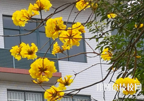 廣東省石油化工職業(yè)技術學校1