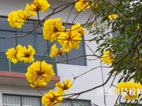 廣東石油化工職業(yè)技術學校網(wǎng)站網(wǎng)址