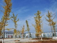 銅仁交通學(xué)校2020年學(xué)費(fèi)、收費(fèi)多少