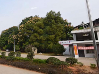 上饒中等專業(yè)學(xué)校2023年招生錄取分?jǐn)?shù)線