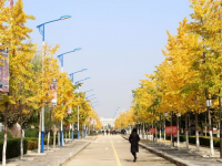 渭南西北新世紀(jì)職業(yè)中等專業(yè)學(xué)校怎么樣、好不好