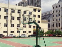 河南外貿(mào)學(xué)校2023年招生計(jì)劃