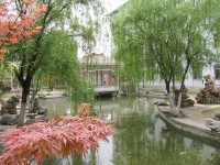 江蘇徐州醫(yī)藥高等職業(yè)學(xué)校2020年招生計(jì)劃