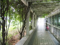 江蘇徐州醫(yī)藥高等職業(yè)學(xué)校2020年招生錄取分?jǐn)?shù)線