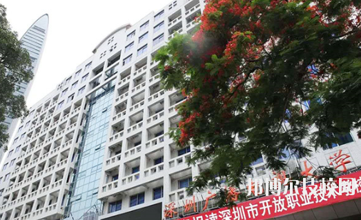 深圳開放職業(yè)技術(shù)學(xué)校1