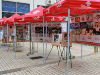 深圳開放職業(yè)技術學校2020年招生錄取分數線