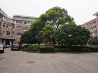 浙江藝術職業(yè)學院2023年報名條件、招生要求、招生對象