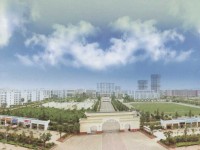 云南曲靖農(nóng)業(yè)學(xué)校2020年錄取分?jǐn)?shù)線