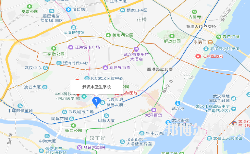 武漢衛(wèi)生學(xué)校diz