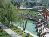 南寧衛(wèi)生學(xué)校地址在哪里