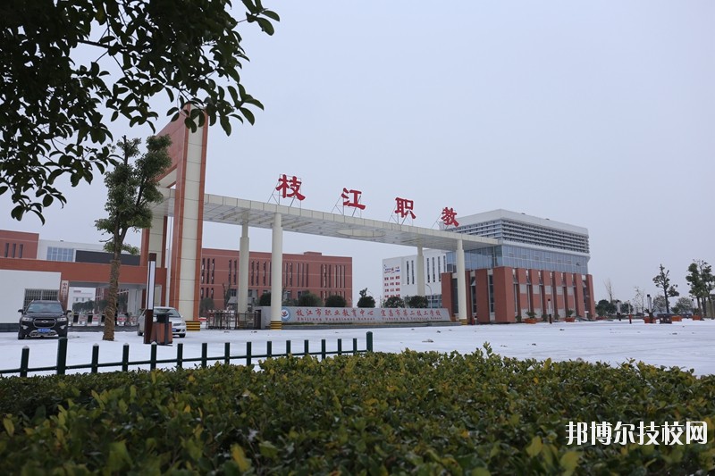 枝江職教中心2020年有哪些專業(yè)
