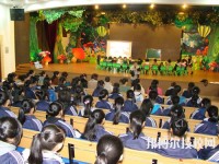 新紀(jì)元蒼南分校2020年學(xué)費(fèi)、收費(fèi)多少