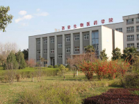 西安生物醫(yī)藥技術(shù)職業(yè)學(xué)校2020年招生錄取分?jǐn)?shù)線