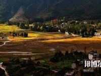 務(wù)川仡佬族苗族自治中等職業(yè)學(xué)校2023年地址在哪里
