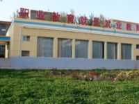 西和職業(yè)中等專業(yè)學(xué)校2020年招生計劃