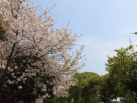 寧波第二技師學(xué)院2020年招生錄取分?jǐn)?shù)線
