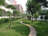 江西吉安衛(wèi)生學(xué)校2023年地址在哪里
