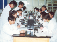 武威衛(wèi)生學(xué)校2020年招生錄取分?jǐn)?shù)線