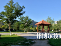 武威衛(wèi)生學(xué)校網(wǎng)站網(wǎng)址
