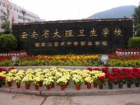 大理衛(wèi)生學校2020年招生錄取分數(shù)線