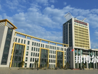 河池職業(yè)教育中心學(xué)校地址在哪里