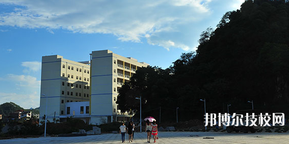 河池職業(yè)教育中心學(xué)校網(wǎng)站網(wǎng)址 