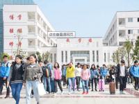 岑鞏中等職業(yè)技術(shù)學(xué)校2020年學(xué)費(fèi)、收費(fèi)多少
