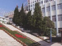 云南工藝美術(shù)學校2020年招生計劃