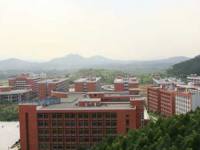 廣東華商技工學校2020年招生計劃