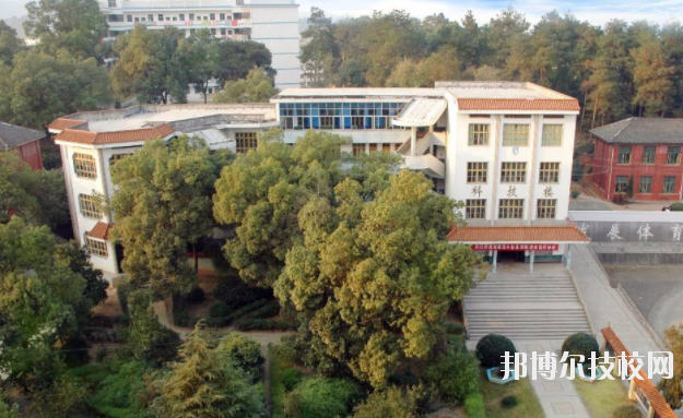 QQ截圖20191024152341