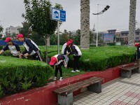 岐山職業(yè)技術(shù)教育中心2020年有哪些專業(yè)