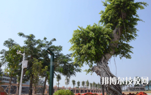 汕頭技師學(xué)院