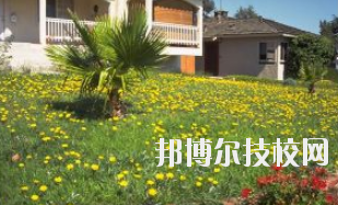 同學(xué)們需要依據(jù)自己所了解的情況來選擇學(xué)校，那么這也決定看同學(xué)們需要去了解這些學(xué)校的招生簡章，以便可以清楚的了解學(xué)校信息。下面就由小編給同學(xué)們介紹的有關(guān)于蘭州園藝學(xué)校招生簡章以及相關(guān)情況，以供大家參考了解。  蘭州園藝學(xué)校層次：中專  蘭州園藝學(xué)校性質(zhì)：公辦  蘭州園藝學(xué)校地址：蘭州市西固區(qū)范家坪  蘭州園藝學(xué)校介紹 蘭州園藝學(xué)校是全省唯一一所園藝、設(shè)施園藝、園林花卉、生態(tài)環(huán)境保護(hù)、建筑裝飾、旅游服務(wù)管理、計算機網(wǎng)絡(luò)技術(shù)、古建筑油漆彩畫等專業(yè)為一體的國辦全日制普通中等專業(yè)學(xué)校。  學(xué)校地處全省政治經(jīng)濟文化中心蘭州市,占地面積8萬平方米。有各類教學(xué)實驗室14個，擁有圖書館、閱覽室、組培室、微機室、語音室、電教室、校園網(wǎng)等各類教學(xué)設(shè)施。校園環(huán)境幽靜、空氣清新、規(guī)劃科學(xué)、設(shè)計獨特。校園內(nèi)溫?zé)釒Щɑ芷贩N齊全，三季有花，四季常青，教學(xué)生活設(shè)施齊全，師資力量雄厚校風(fēng)優(yōu)良。學(xué)校在珠海、深圳、上海、昆明、蘭州和平牡丹園等地有多處實習(xí)基地。學(xué)校以獨特的專業(yè)設(shè)置，超長的市場預(yù)測和嚴(yán)格的管理，為社會培養(yǎng)了大批實用型中等專業(yè)人才，畢業(yè)生就業(yè)面積廣，就業(yè)率高。  了解了蘭州園藝學(xué)校的信息后，就知道簡章也是可以用來選擇學(xué)校的。以上就是小編給大家整理的蘭州園藝學(xué)校招生簡章，想要了解更多有關(guān)于學(xué)校信息的同學(xué)們是可以直接咨詢了解邦博爾相關(guān)網(wǎng)站。