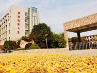 杭州蕭山技師學(xué)院2020年招生錄取分?jǐn)?shù)線